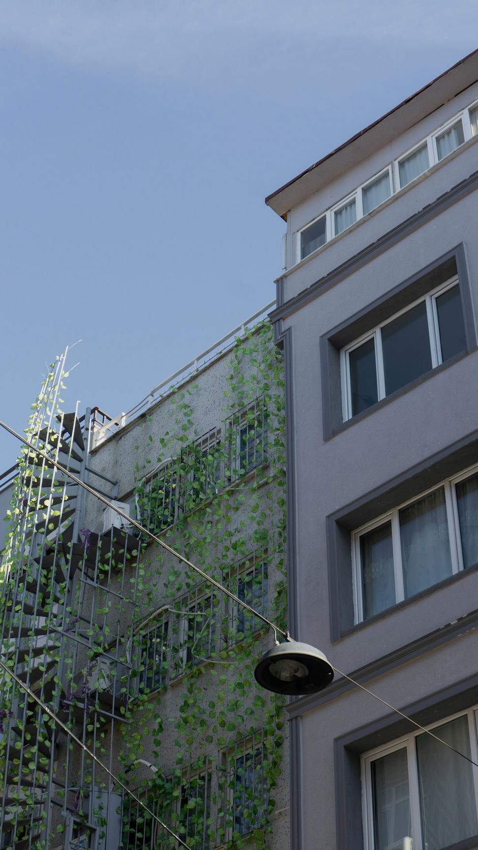 Commercial Architecture