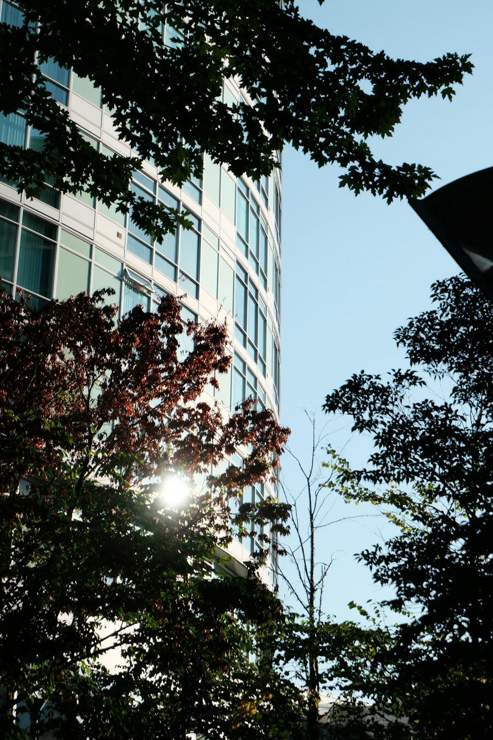 LEED commercial building